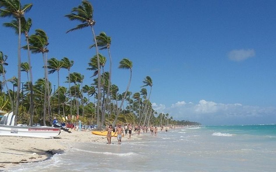 Z gotówką pod palmami