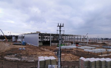 Dekpol pozostaje wierny strategii. Głównie prywatni zamawiający, głównie z rynku przemysłowo-magazyn