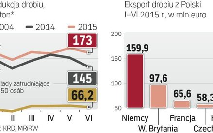 Ostatnia dekada pod znakiem szybkiego rozwoju