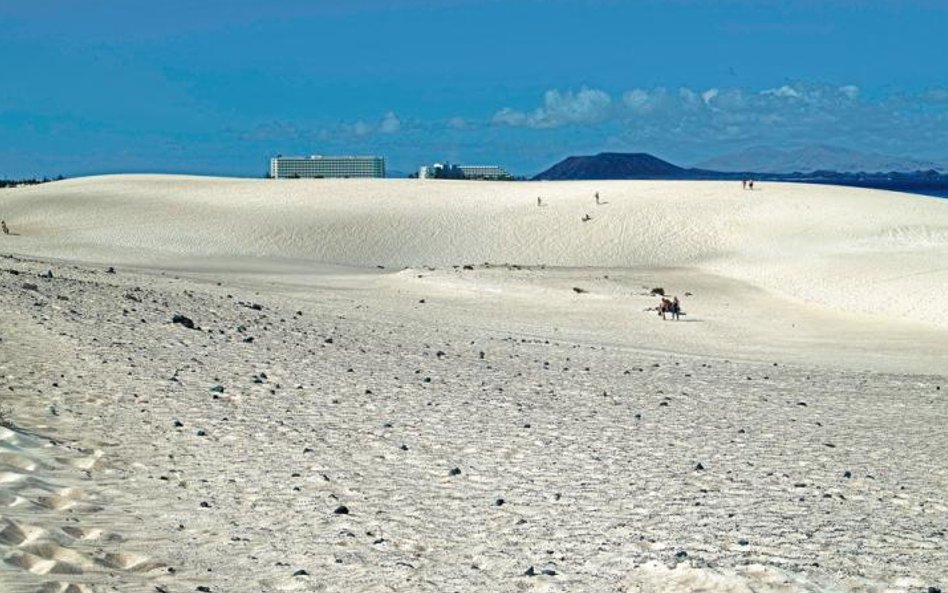 Michel Houellebecq, „Hiszpania #009”