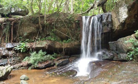 W takim krajobrazie oko archeologa nie dostrzeże ruin sprzed setek lat