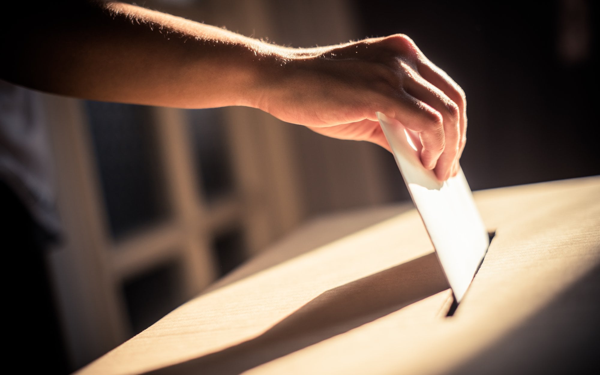 Protest po wyborach KO na Lubelszczyźnie. Zarzuty mogą podważyć wynik głosowania