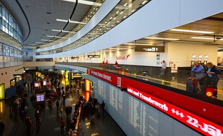 Nalot tanich linii na Wiedeń. Będzie można trafić prawdziwe okazje