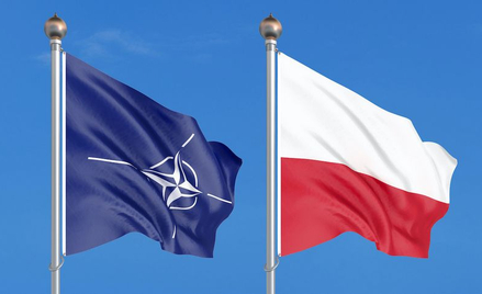 Haszczyński: Polska atomowa? Powoli, powoli