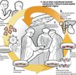 Naukowe przeboje 2007 roku: od biologii do archeologii
