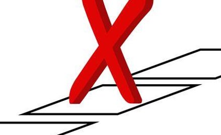 Korupcja w PO: Praca za głosy w partyjnych wyborach