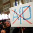 Masowe protesty przeciwko AfD trwają w Niemczech od początku roku