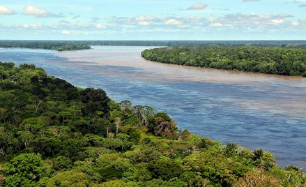 Amazonia emituje gazy cieplarniane zamiast je pochłaniać