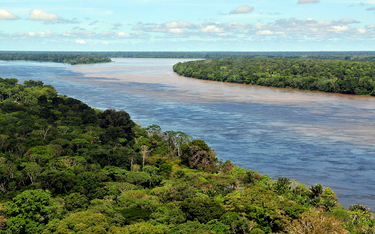 Amazonia emituje gazy cieplarniane zamiast je pochłaniać