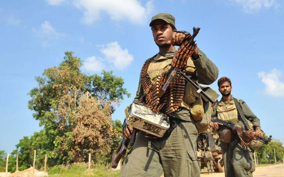 Sri Lanka: Tygrysy przyparte do muru