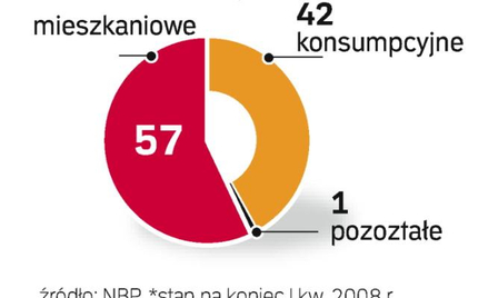 Dominują kredyty mieszkaniowe