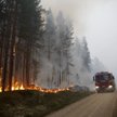 Szwecja płonie. Od Koła Podbiegunowego do Bałtyku