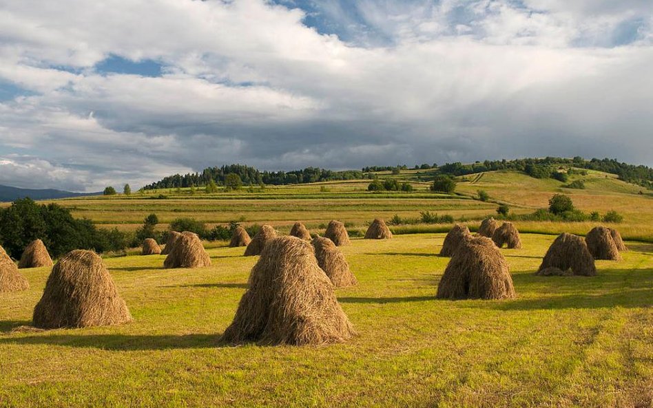Polisy dla rolników mogą zdrożeć ponad 2,5-krotnie