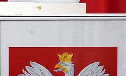 Wybory europosłów już w tę niedzielę