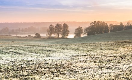 W najbliższych dniach w pogodzie czekają nas najpierw upały, a później przymrozki