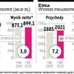 W PGE trudniej o wzrost zysku niż w Enei