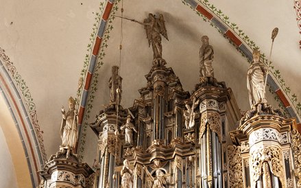 Organy w katedrze kamieńskiej pochodzą z 1672 roku, ale nie były pierwszym instrumentem w dziejach t