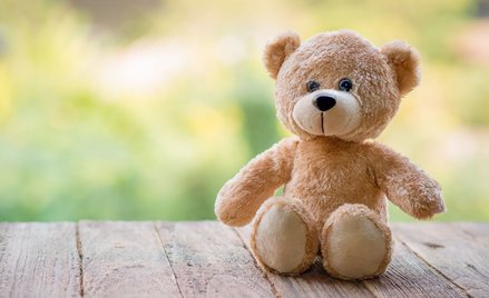 Zamawiane przez MON misie mają być wykonane z miękkiego pluszu i być przyjemne w dotyku