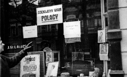 Witryna sklepu w Moerdijk (Holandia), jednej z miejscowości na szlaku 1. Dywizji, listopad 1944 r.