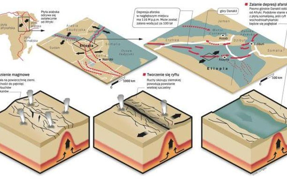Kontynent afrykański się podzieli, oderwie się od niego wschodnia część. Wielki ryft afrykański spra