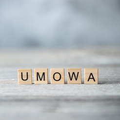 Katarzyna Batko-Tołuć: Centralny Rejestr Umów i triumfalny powrót parlamentaryzmu