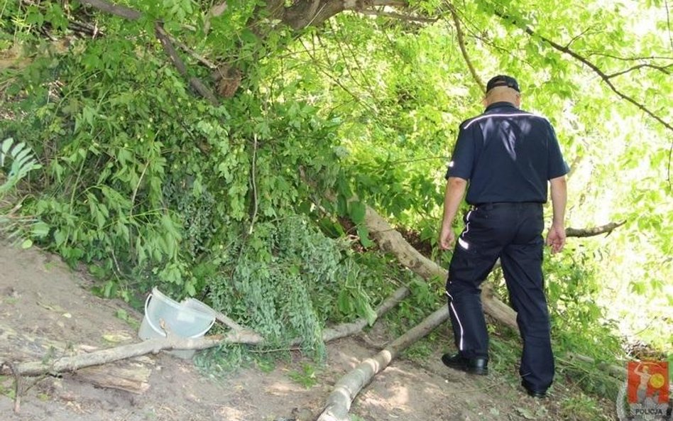 Czterolatek znaleziony w szałasie na warszawskim Bemowie