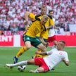 Mecz Polska - Litwa. Ostatni sprawdzian przed mundialem