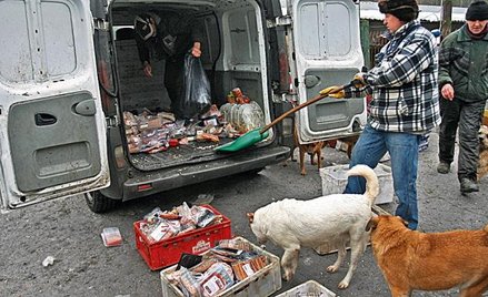 Placówka jest biedna, ale zwierzęta są tam zadbane, a przede wszystkim nie są zdziczałe! Trzeba rato