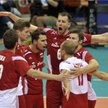Zdjęcie pochodzi ze strony volleywood.net