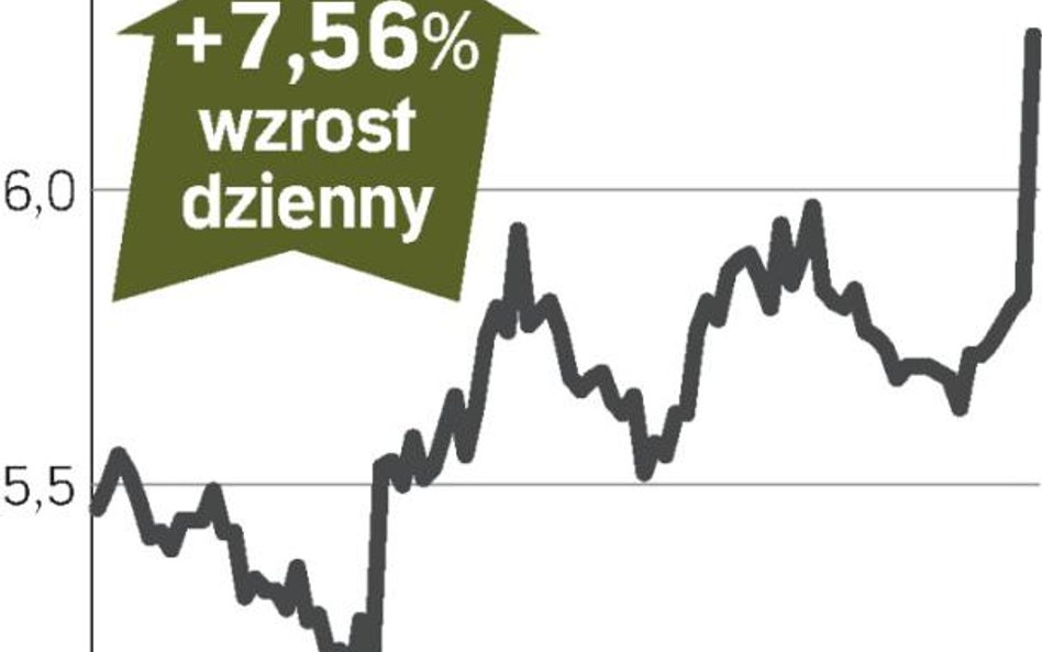 SABMiller może przejąć Foster’s