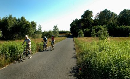 Gmina nie może zaliczyć do gminnych drogi, która nie jest jej własnością