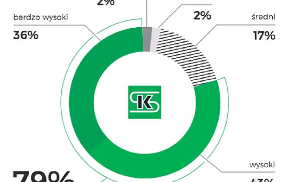 Poziom satysfakcji z pracy księgowego – członkowie skwp