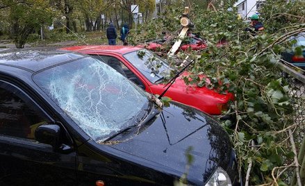 Wichury nad Polską zrywają dachy, łamią drzewa, niszczą mienie