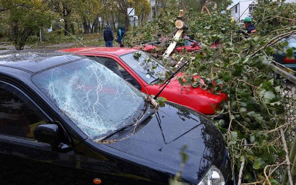 Wichury nad Polską zrywają dachy, łamią drzewa, niszczą mienie