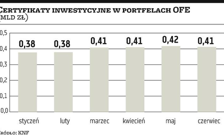 OFE sięgają po private equity