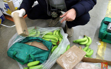 Stołeczna prokuratura ustala, kto stoi za przemytem 178 kilogramów kokainy, którą znaleziono w Broni