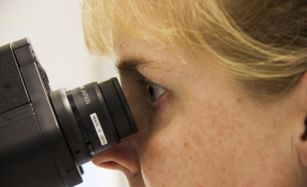 Biomed-Lublin skupi się na rozwoju głównych produktów