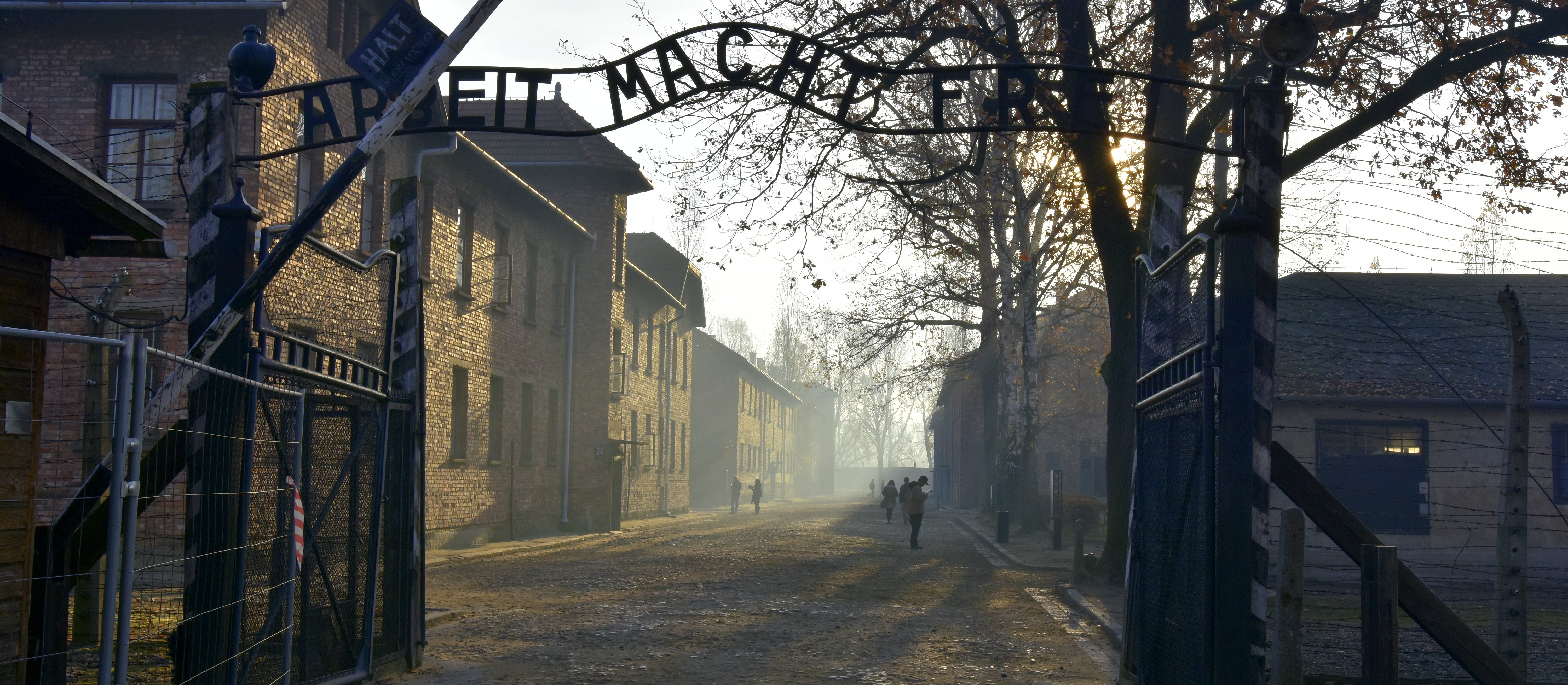 Rząd zablokował aukcję artefaktów związanych z Holokaustem. Podobne można kupić na Allegro