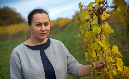Agnieszka Wyrobek-Rousseau: sekret win spod Krakowa
