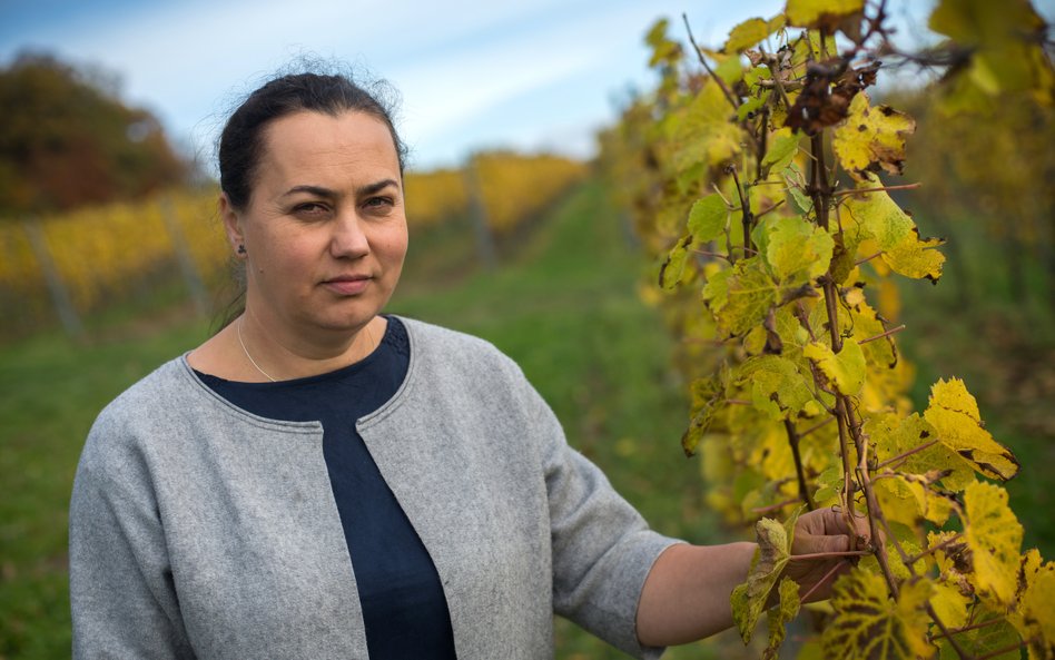 Agnieszka Wyrobek-Rousseau: sekret win spod Krakowa