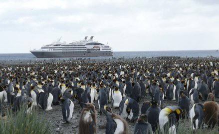 Antarktyka popularna jak nigdy dotąd