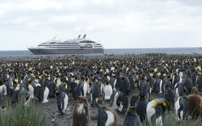 Antarktyka popularna jak nigdy dotąd