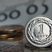 Raport walutowy: Złoty nadal trzyma dobrą formę