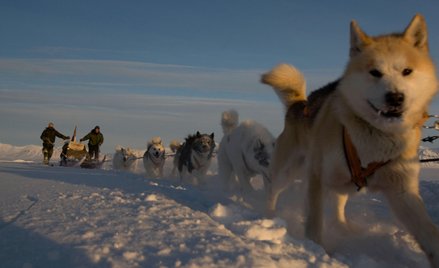 Północną Grenlandię patroluje elitarna jednostka Sirius Dog Sled Patrol