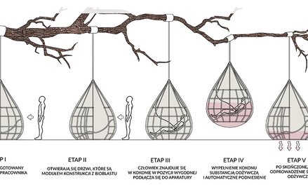 Powrót na łono - Źródło Infuture hatalska foresight institute Turning Office, autorzy projektu: Anna