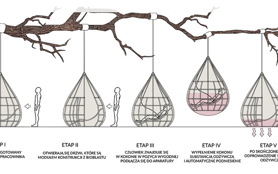 Powrót na łono - Źródło Infuture hatalska foresight institute Turning Office, autorzy projektu: Anna