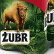 Żubr wyprzedził Tyskie i jest liderem rynku piwa w Polsce w ujęciu wartościowym.