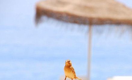 Ponad 1/5 pracowników w Europie, USA i Kanadzie wyłącznie w trakcie pracy zajmuje się zaplanowaniem 