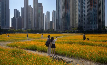 Korea Płd.: W 2060 r. niemal połowa Koreańczyków będzie mieć ponad 65 lat