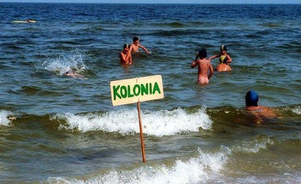 Opiekunem dzieci na koloniach może dziś zostać maturzysta po jednodniowym kursie w Internecie